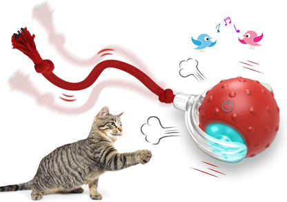 Interactive Chirping Cat Toy Ball for Indoor Cats – Fast Rolling & Motion Activated (Red)